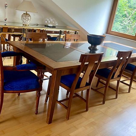 Wunderschoenes Grosses 3 Zimmer Apartament Zentrum Goldstadt Familienfreundlich Mit Garage Pforzheim Ngoại thất bức ảnh